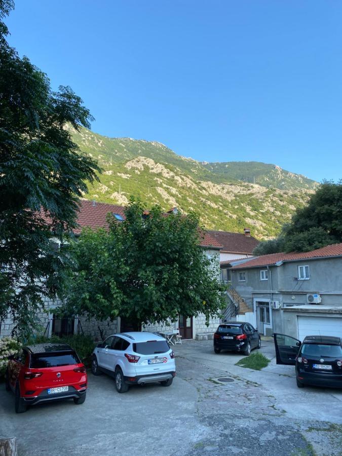 Goga Apartment Kotor Exteriér fotografie